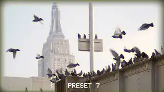 VHS Presets | Premiere Pro Presets - Motion Array