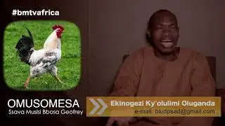 Enkoko ( Chicken: Hen)  | Ekinogezi Ky'olulimi Oluganda ~S1E55