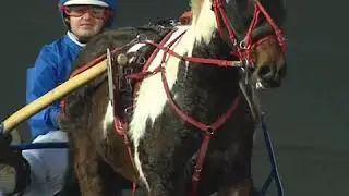 Lilas Viel, championne de France de trot à poney à 14 ans