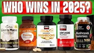 TOP 5 Best Lions Mane Supplements of 2024