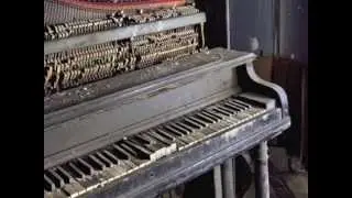 Bart van Oort plays Mozart's Sonata in C minor, K 457