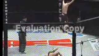Nut Shot Heard Round the World - Craig Reishus