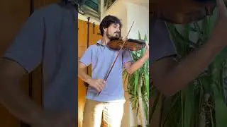 Sound Sample Violin Pelizon Family (Dmitry Gindin certificate)