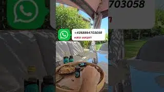 Скажи НЕТ  ПАНИЧЕСКИМ АТАКАМ, наше лекарство состоит только из растительных ингредиентов.