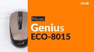 Распаковка мыши Genius ECO-8015 / Unboxing Genius ECO-8015
