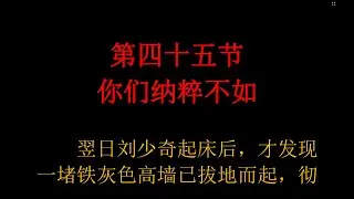 《中南海恩仇录》 京夫子 第四十五节 你们纳粹不如