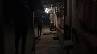 Быдло дагестанские