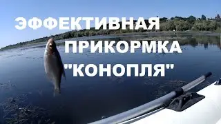 146 Ностальгия по лету  Красноперка  идет на 