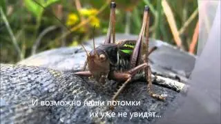 Сохраним природу