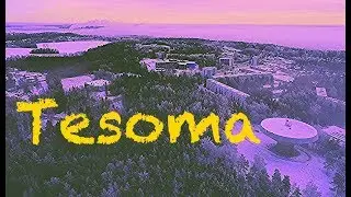 Tampere. Tesoma