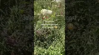 У вас также?