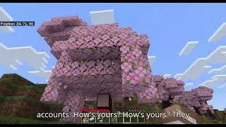 A great spawn for a gameplay Minecraft