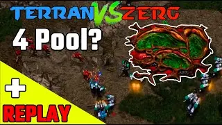 Me hace la estrategia más vieja de Starcraft + Replay + Retrato Vulture 2500pts