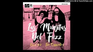 LAS MUNJITAS DEL FUZZ - Es el 69