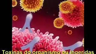Paródia de 'Se essa rua fosse minha' - Sifilinismo (Homeopatia)
