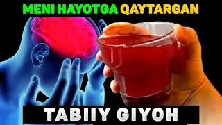 МЕНИ ҲАЁТГА ҚАЙТИШИМГА САБАБ БЎЛГАН ТАБИИЙ ГИЁХ!  
