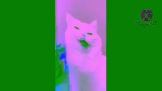 Crying Cat Funny Sound Effects (Sponsored by Preview 2 Effects)