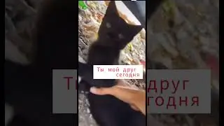 Друг на сегодня ?🤣🤣🥰