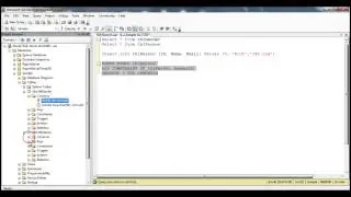 4  Adding a default constraint