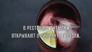 Правила алкогольного этикета, о которых важно помнить.