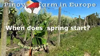 When does spring start? / Spring Farm Tour/Pinoy Farm in Europe (Portugal)