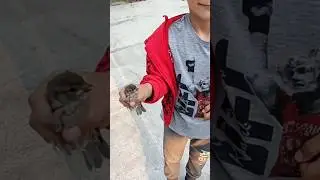 Эмоции - это важно! 