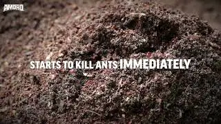 AV09   Amdro Fire Ant Bait Mounds 2lb   Benefits V3