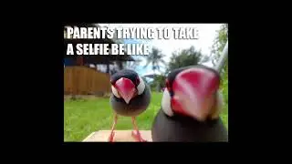Parents Memes | Funny Memes To Make Your Day #Shorts