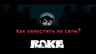 Запускаем по сети игру Rake (Multiplayer)