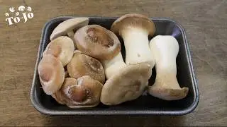 Kitchen Live: How To Cook with Shiitakes & Royal Trumpets