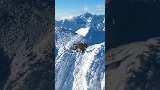 Однажды в горах Сочи🏔 