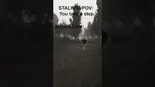 STALKER Anomaly in 5 Seconds