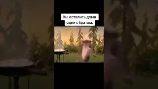 остались дома одни с братом #брат#яйца#готовка#кушать#мем#мемы#приколы#вкусно#еда#омлет#video#shorts