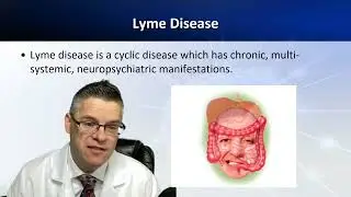 What is Lyme Disease?  A Lyme doctor explains. . . . . .
