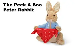 The Peek A Boo Peter Rabbit