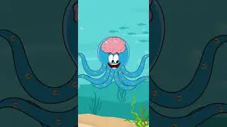 Does an Octopus have Nine Brains? | 