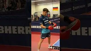 Can I beat a professional table tennis player with a handicap? 👀🏓 ​⁠@AndreasLevenko 🔥