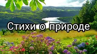 Стихи о природе детям. Стихи о бережном отношении к природе #стихи#природа