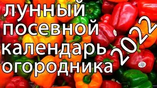 ЛУННЫЙ ПОСЕВНОЙ КАЛЕНДАРЬ 2022!!! БЛАГОПРИЯТНЫЕ ДНИ ДЛЯ ПОСЕВА!!!