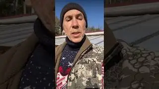 За 5000 не продам! 