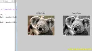 Matlab Image processing Tutorial in Tamil   Convert Image RGB color to Gray color