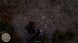 Red Dead Redemption Online Kicking & Stomping On A Friend