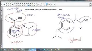 Functional Groups and Where to Find Them