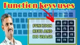 What are the use of Function Keys F1 to F12 on the Keyboard ?