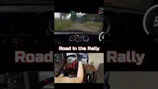 – We crashed😱  –No🗿 #rally #dirt #simracing #crash #nextlevelracing #steeringwheel