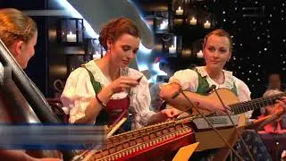 Die Vielsaitigen