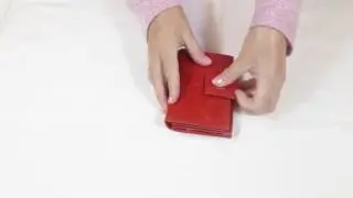 ID Stronghold | 16 Slot Bifold with clasp coin section | IDSH7115