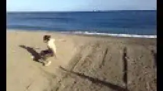 golpes en la playa