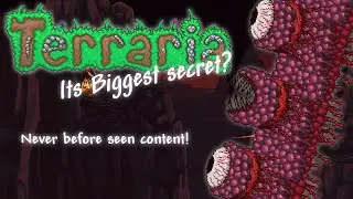 New never before seen Terraria secret? Wall of Flesh's hidden Easter Egg!
