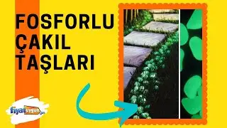 FOSFORLU ÇAKIL TAŞLARI || ( HEMEN İNCELE! )